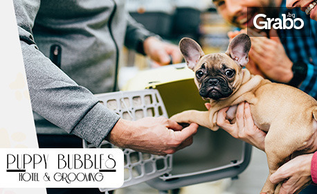 изображение за оферта Нощувка в хотел за кучета до 25кг, от Puppy Bubbles