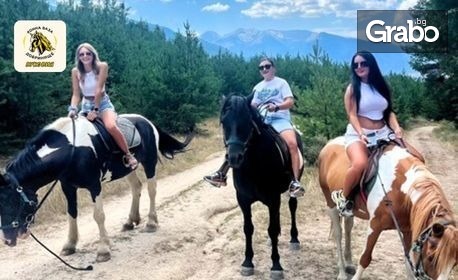 изображение за оферта Разходка с кон за начинаещи или напреднали в сърцето на Пирин, от Конна база Вуковия