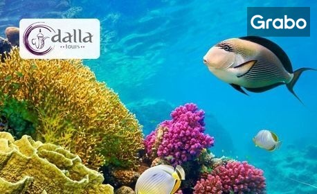 изображение за оферта Почивка в екзотичен Египет: 7 нощувки на база All Inclusive в Xperience St. George Sharm El Sheikh****, плюс самолетен транспорт, от Dalla Tours