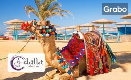 изображение за оферта Нова година в Египет: 4 нощувки на база All Inclusive, плюс самолетен билет, от Dalla Tours