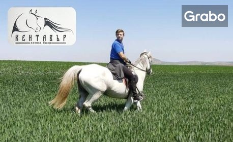 изображение за оферта Конна езда сред природата край Хасково, от Конна база Кентавър, с. Брястово