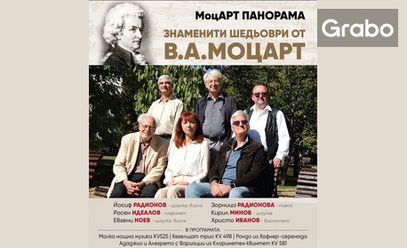 изображение за оферта Концертът