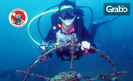 изображение за оферта Опознай подводния свят! Водолазен курс PADI Open Water Diver, плюс кулинарен урок и дегустация на черноморски деликатеси, от Водолазен център Созопол