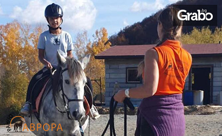 изображение за оферта Урок по езда, плюс стрелба с лък и ползване на хамак зона - край Своге, от Ранчо Аврора, с. Заселе