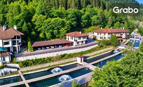 изображение за оферта Почивка край Девин: Нощувка на база All Inclusive Light, плюс ползване на минерален басейн и релакс зона, от Комплекс Рибарската хижа, с. Беден