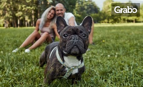 изображение за оферта Професионална фотосесия на открито с 30, 50 или 100 обработени кадъра, от Hrisi V. Photography